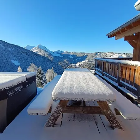 Avec Jacuzzi - 150 M Des Remontees