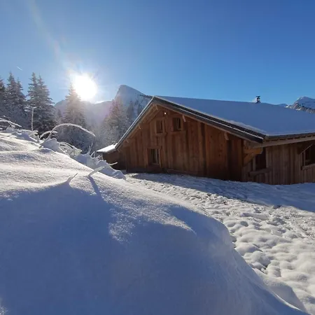 Avec Jacuzzi - 150 M Des Remontees Alpstuga